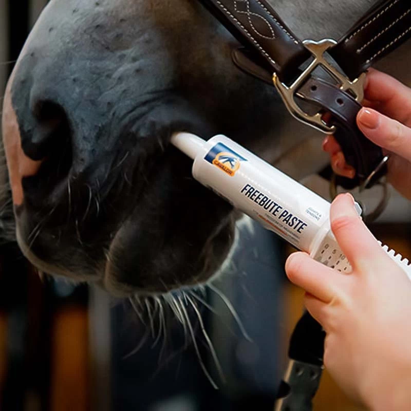 Cavalor Freebute Pasta 6 X 60ml - Afbeelding 2