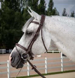 Dy'on Hunter Collectie Hoofdstel Gecombineerde Neusriem