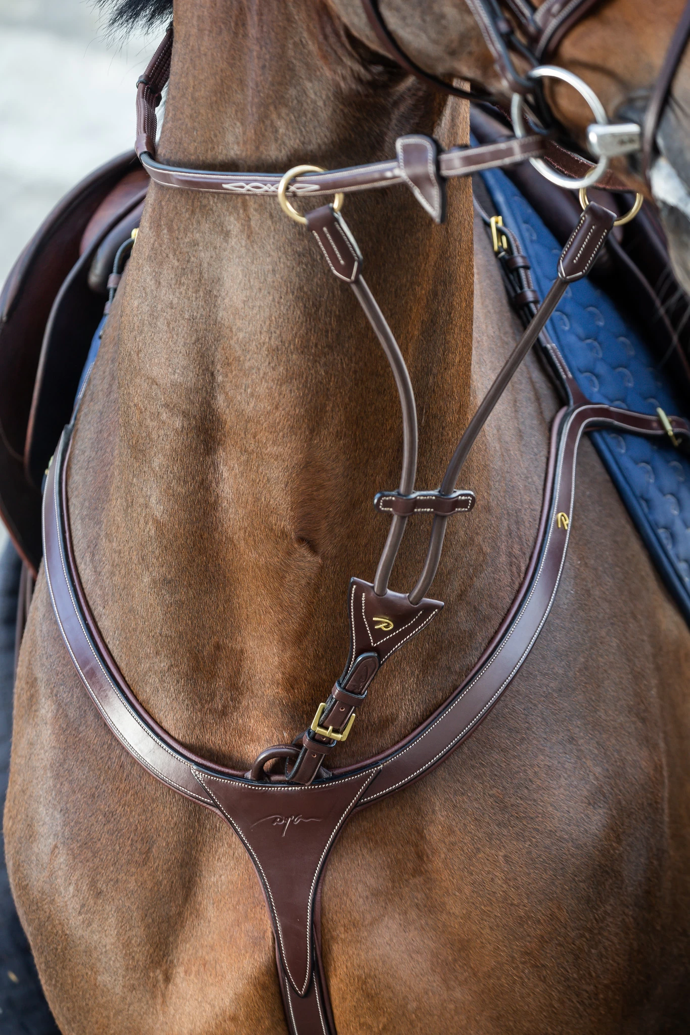 Dy'on Collectie Elastische Martingaal Vork - Afbeelding 2