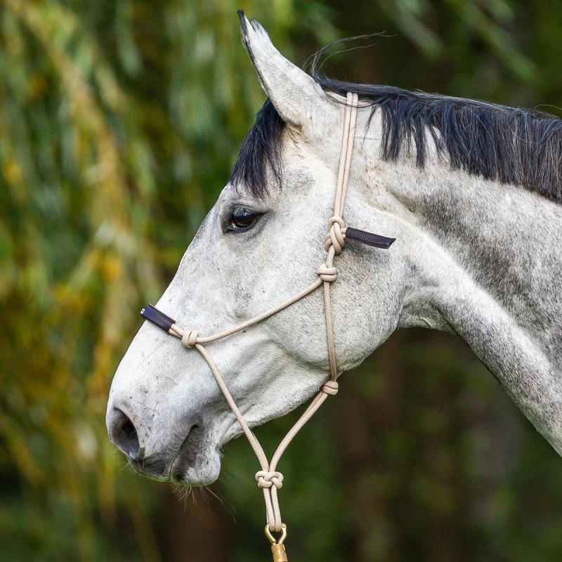 Dy'on La Cense Trainingshalster