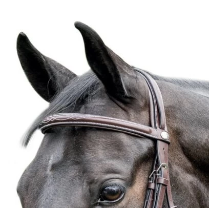 Prestige Hoofdstel E37 Gecombineerde Neusriem - Afbeelding 2